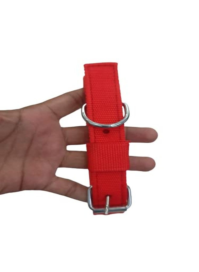 KittuPet طقم حزام للكلاب من KittuPet، يتضمن طوقًا من النايلون مقاس 1 بوصة مع سلسلة متينة للكلاب، طول الطوق 63 بوصة (أحمر) وسلسلة فضية. - Image 3